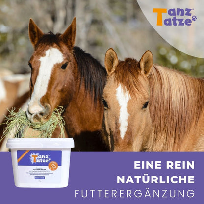 TanzTatze Aktivkollagen HORSE -  Gelenkpulver zum Knorpelaufbau für Pferde