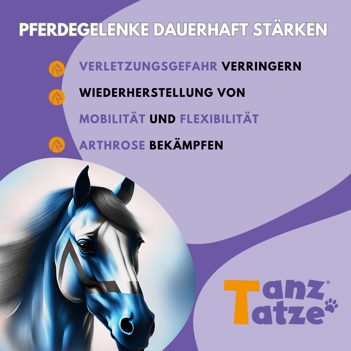 TanzTatze Aktivkollagen HORSE -  Gelenkpulver zum Knorpelaufbau für Pferde