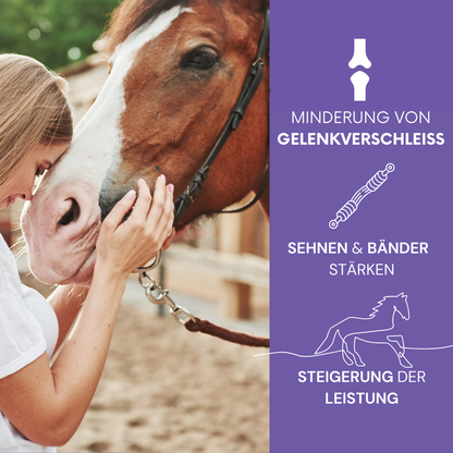 TanzTatze Aktivkollagen HORSE -  Gelenkpulver zum Knorpelaufbau für Pferde