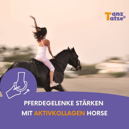 TanzTatze Aktivkollagen HORSE -  Gelenkpulver zum Knorpelaufbau für Pferde